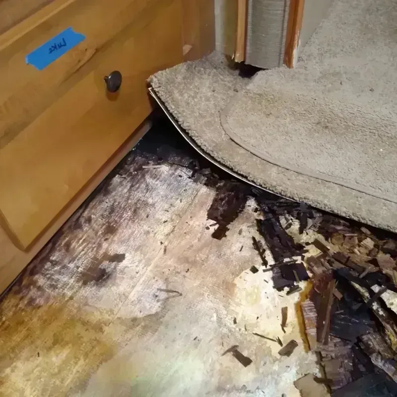 Wood Floor Water Damage in Spring Grove, IL